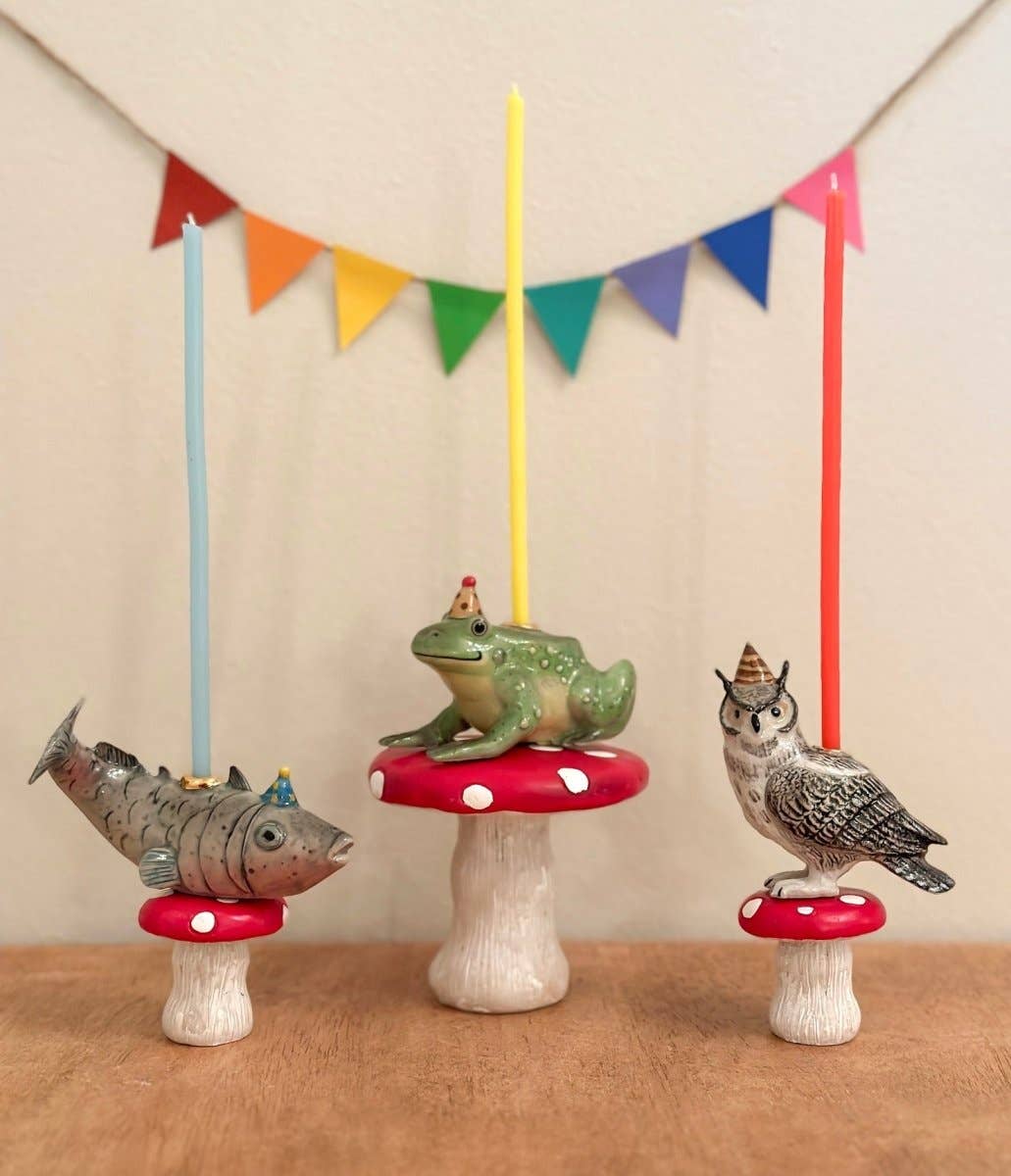 Wise Owl Cake Topper - Box Turtle