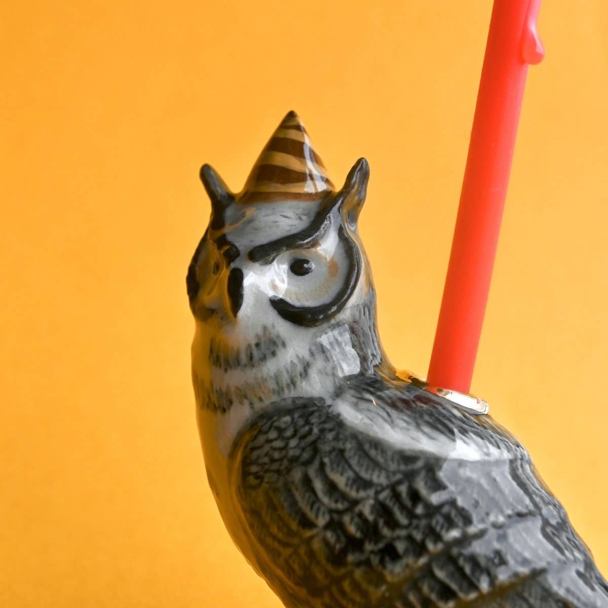 Wise Owl Cake Topper - Box Turtle