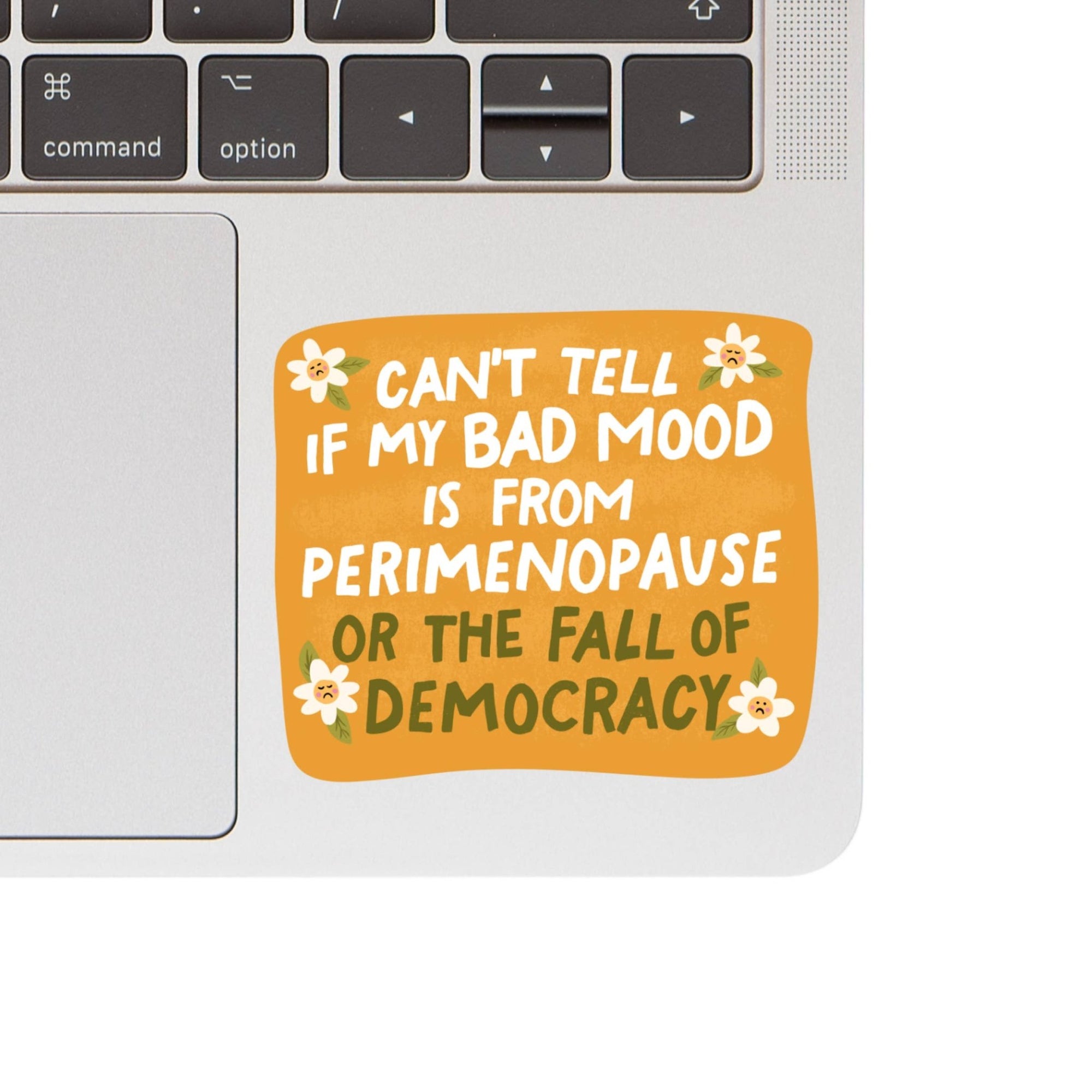 Women Politics Perimenopause Vinyl Sticker - Box Turtle