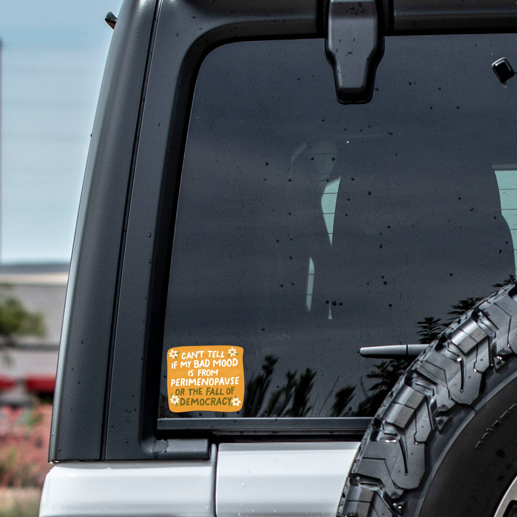 Women Politics Perimenopause Vinyl Sticker - Box Turtle