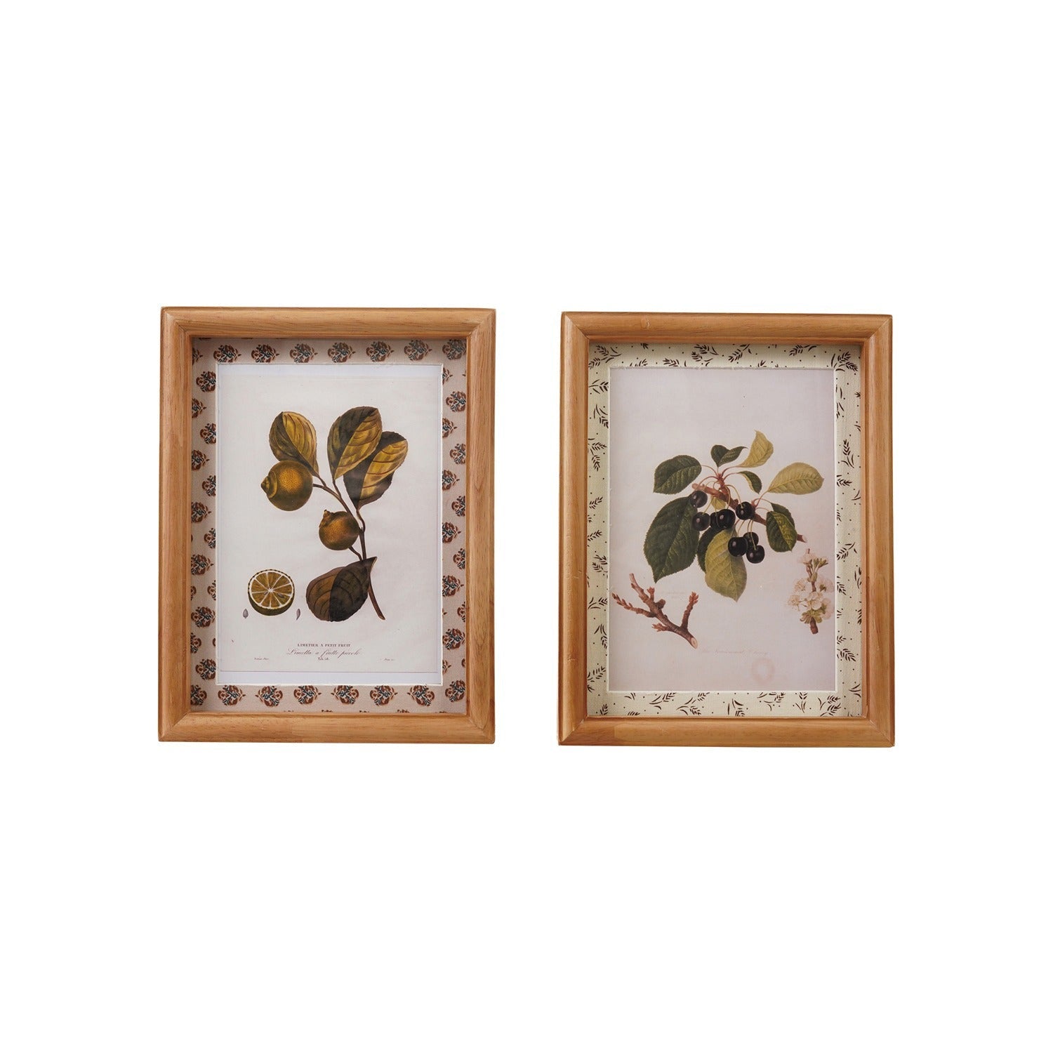 Wood &amp; Glass Frame with Patterned Mat - Box Turtle