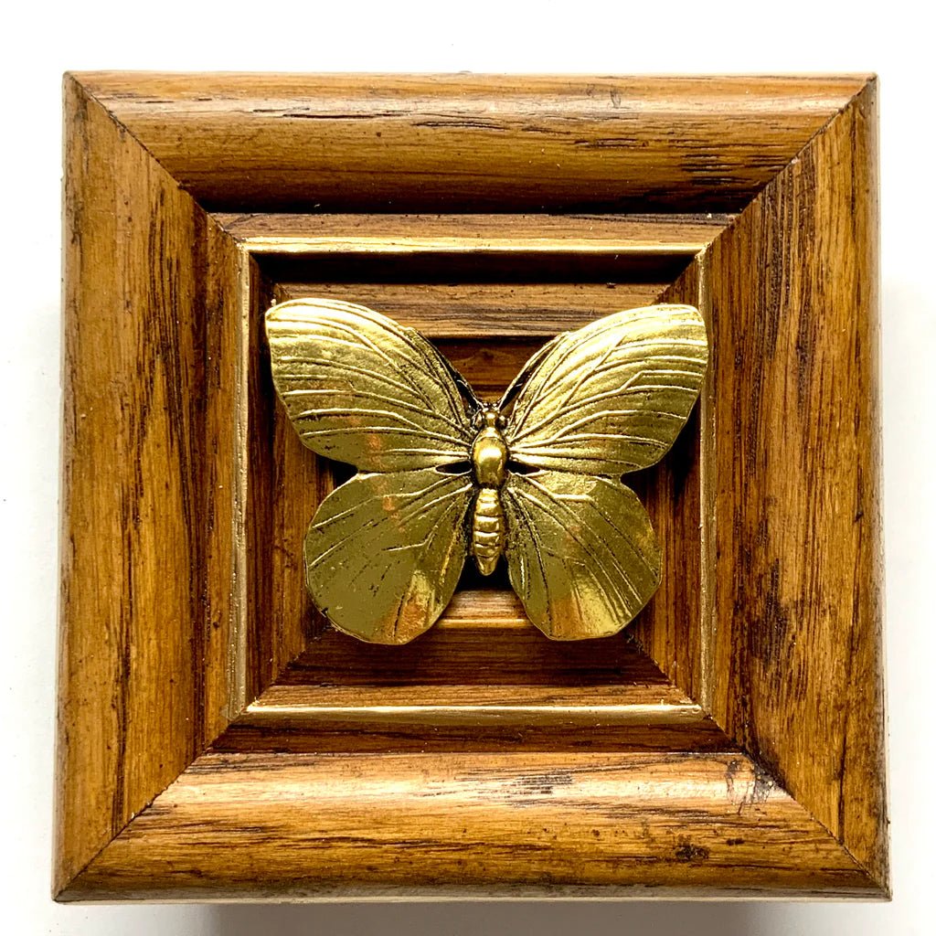 Wooden Frame with Butterfly Museum Bee - Box Turtle