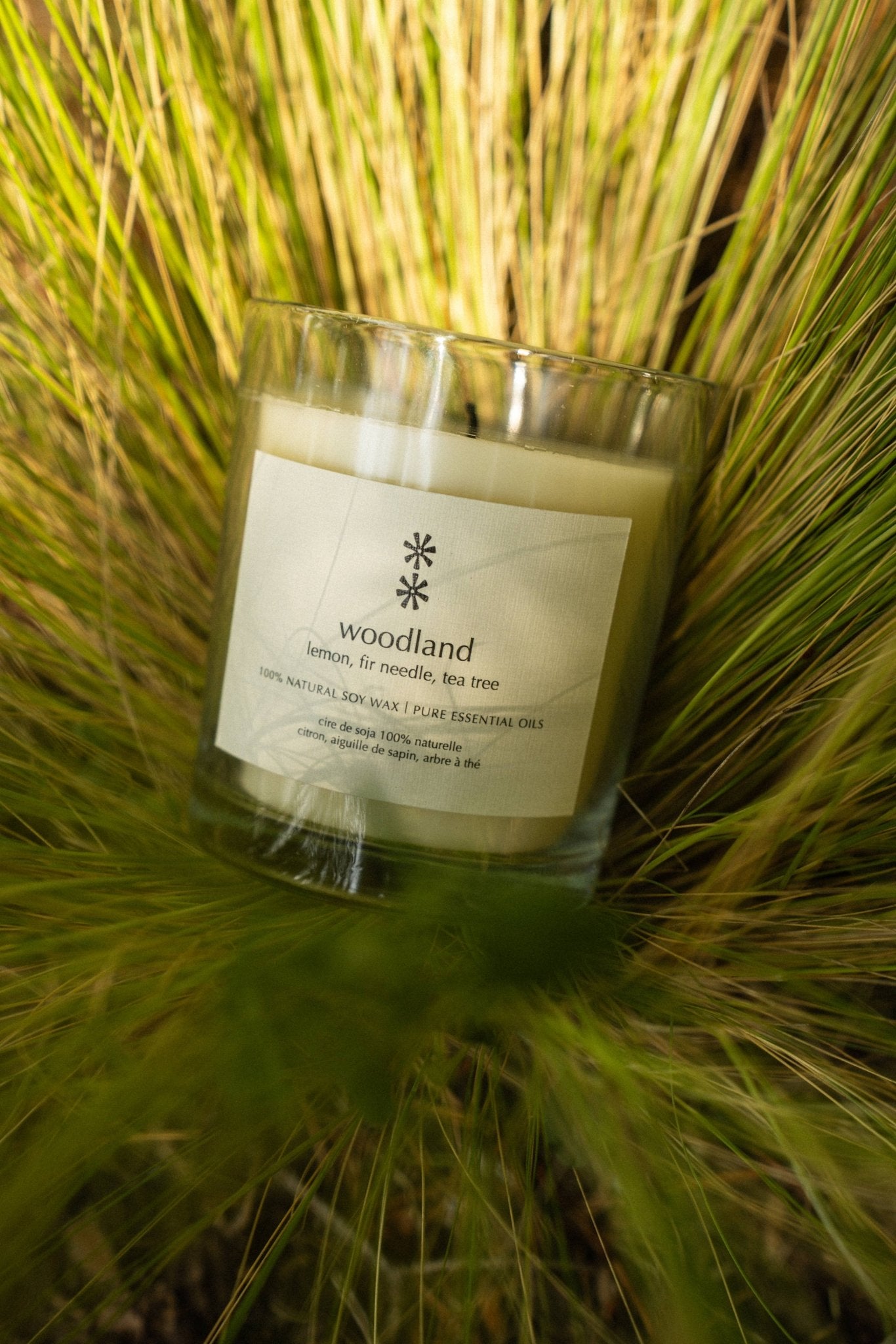 Woodland Soy Candle - Box Turtle