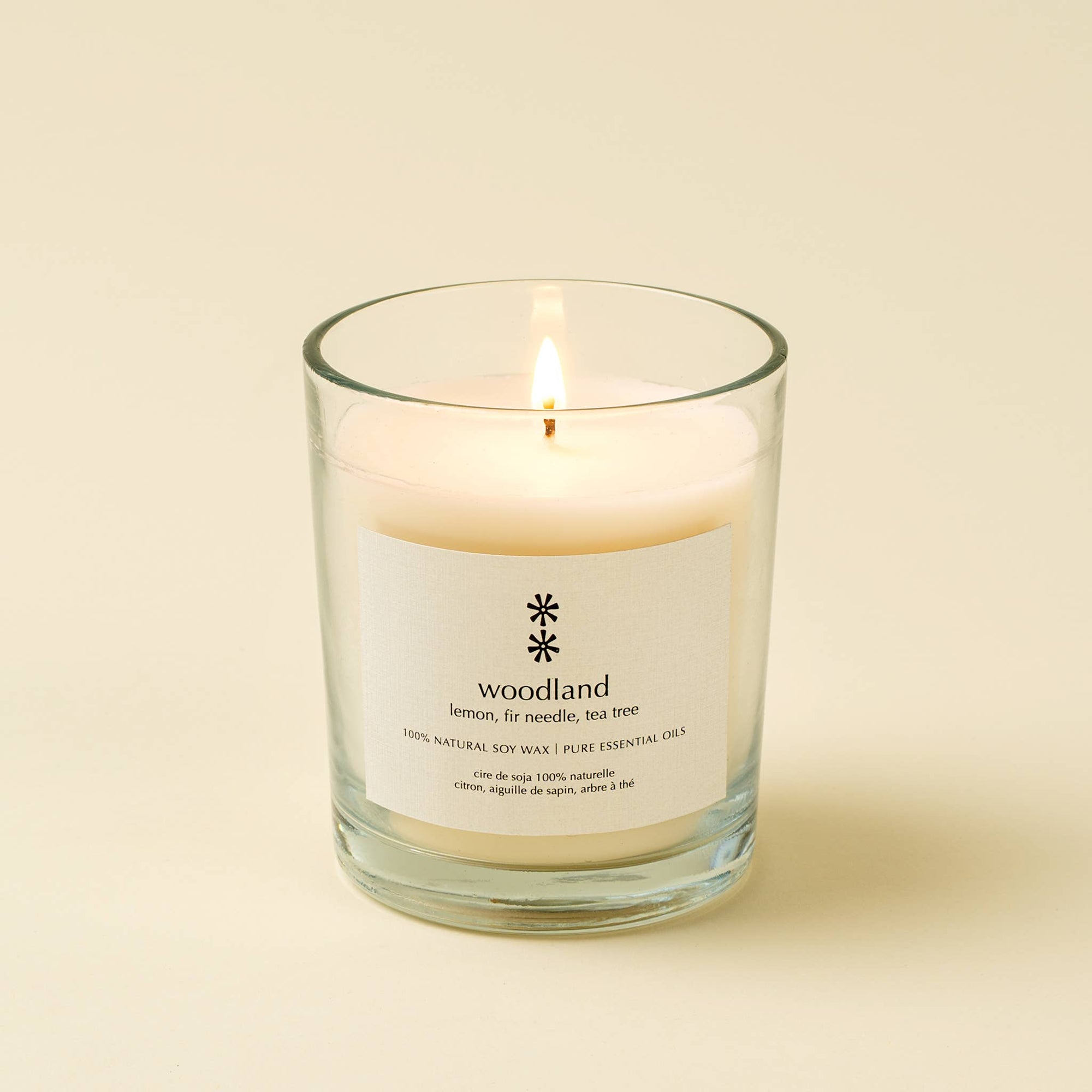 Woodland Soy Candle - Box Turtle