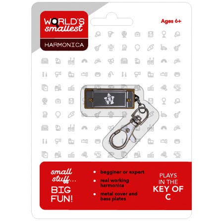 World's Smallest Harmonica - Box Turtle