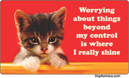 Worrying about things beyond my control - Box Turtle