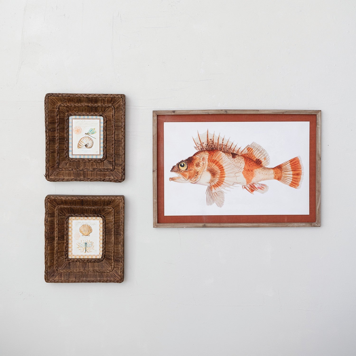 Woven Water Hyacinth Framed Decor - Box Turtle