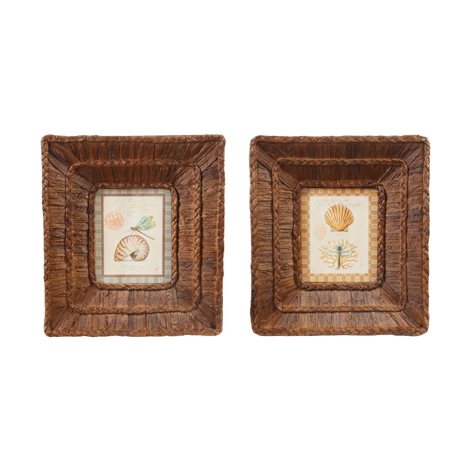 Woven Water Hyacinth Framed Decor - Box Turtle