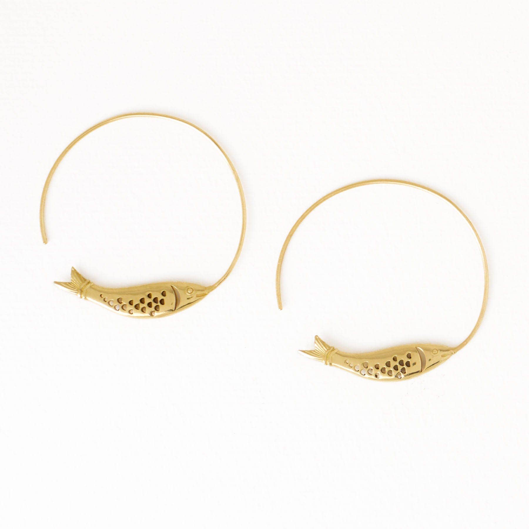 Wren Fish Hoop Earrings - Box Turtle