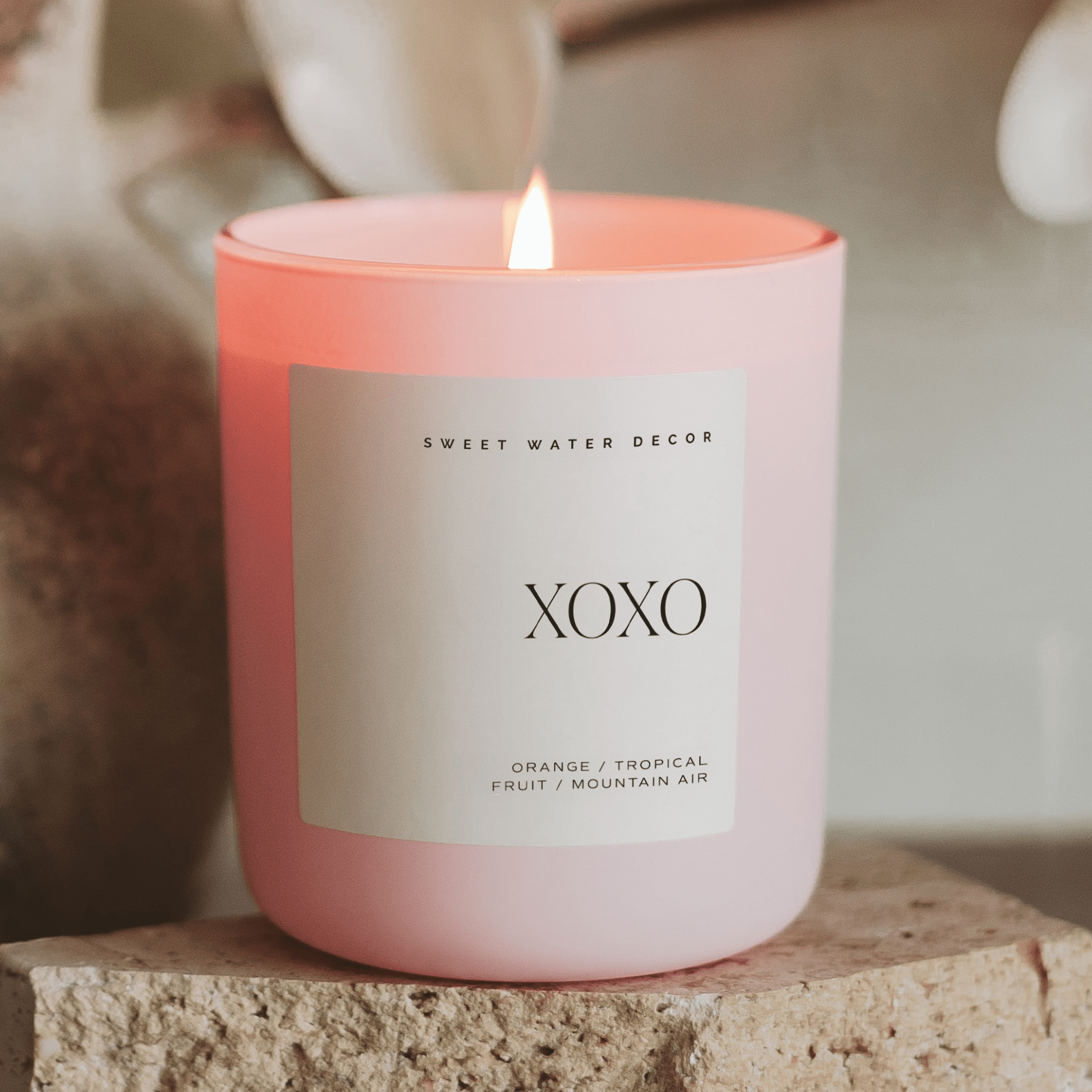 XOXO Soy Candle - Box Turtle