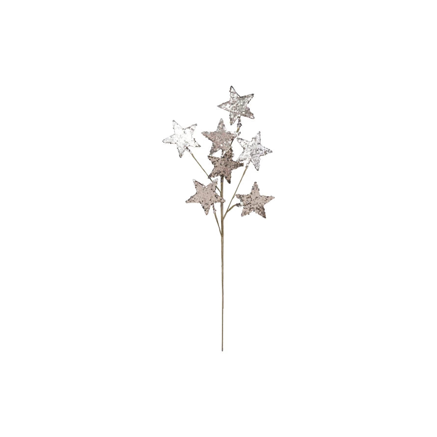 Paper Star Spray