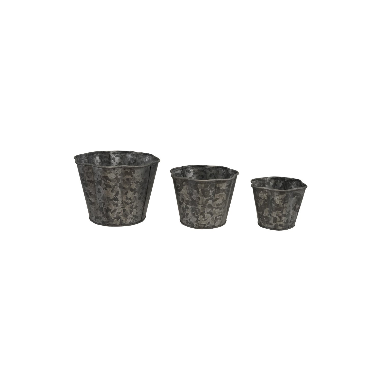 Galvanized Metal Scalloped Planters