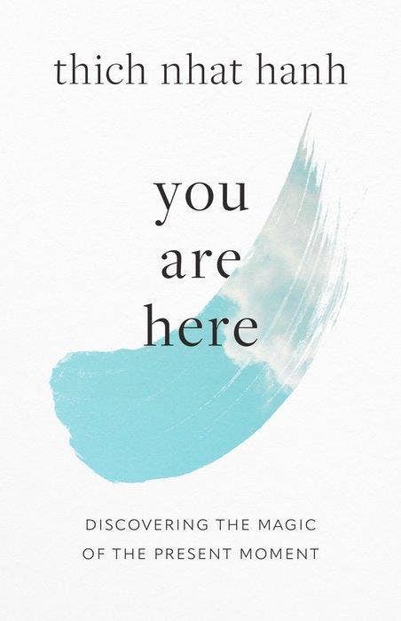 You Are Here - Box Turtle