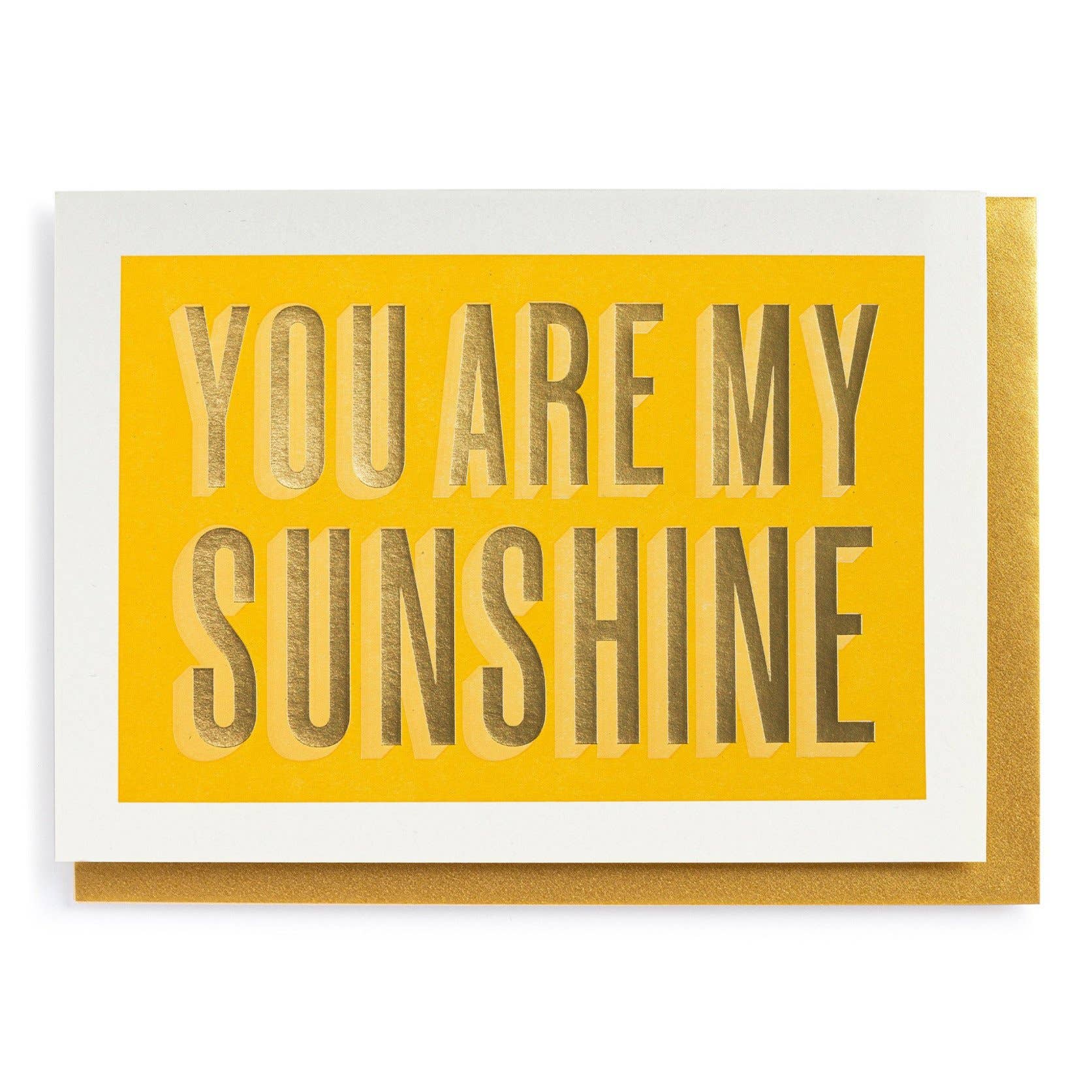 You Are My Sunshine - Greeting Card - Box Turtle