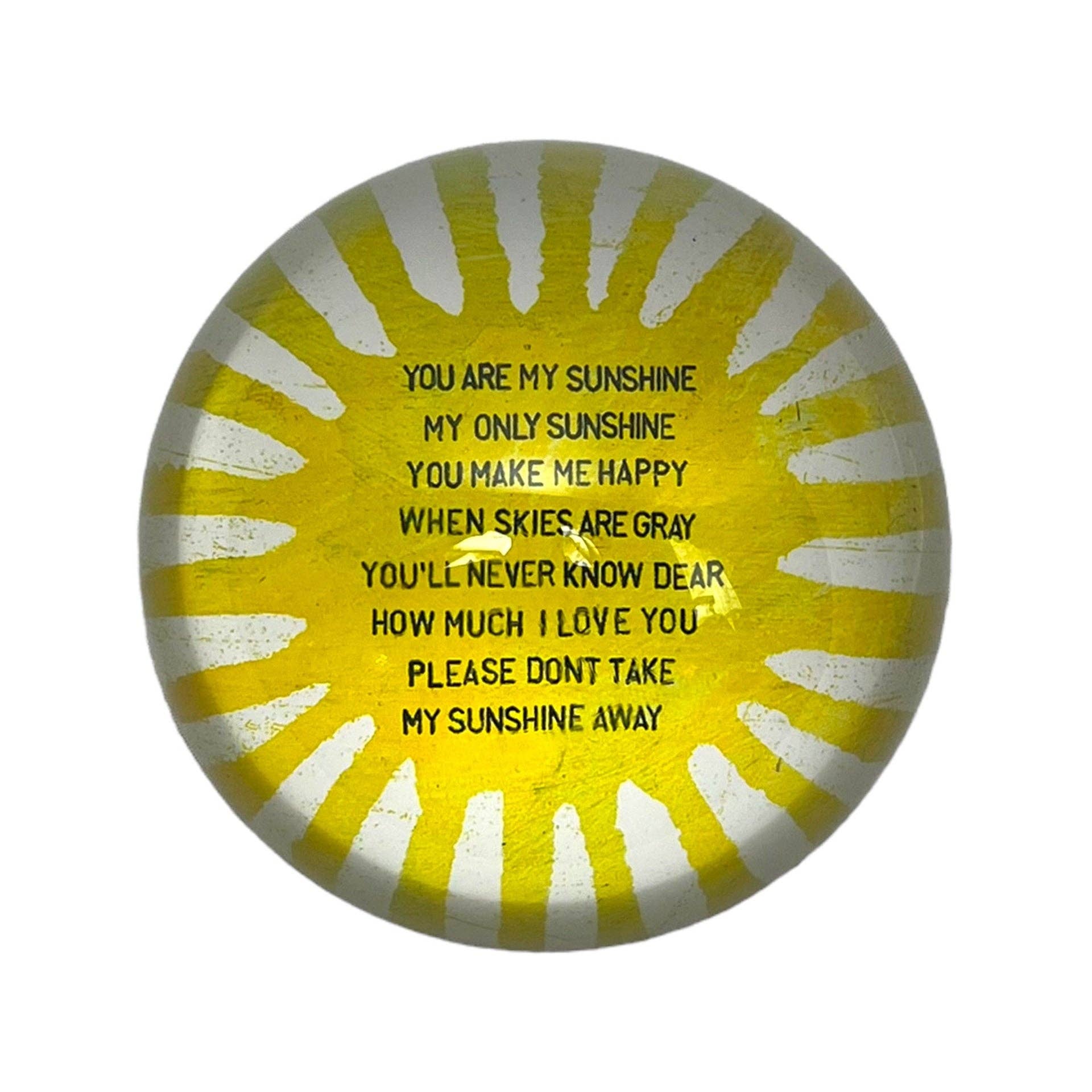 You Are My Sunshine Paperweight - Box Turtle
