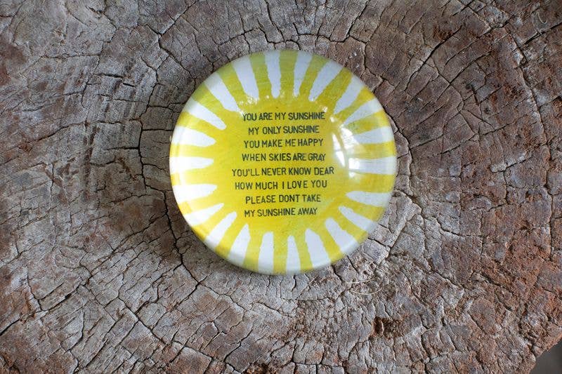 You Are My Sunshine Paperweight - Box Turtle