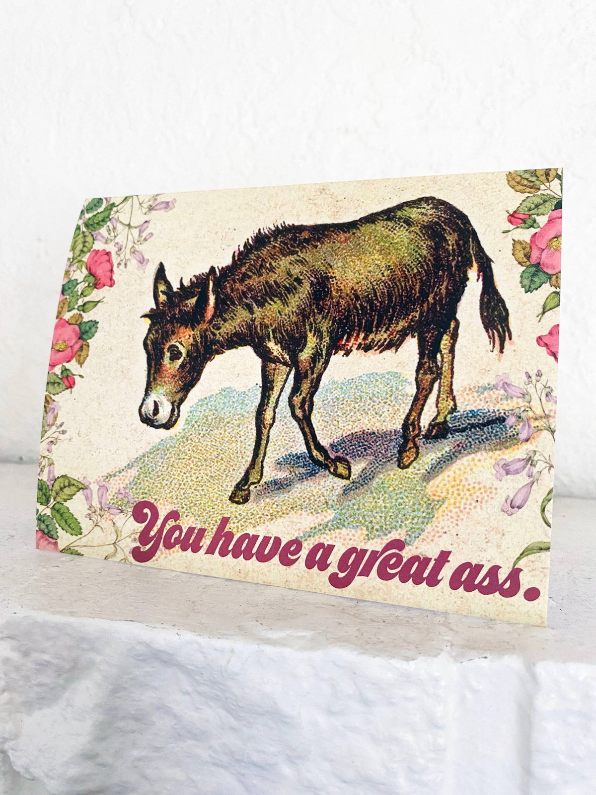 You Have a Great Ass Card - Box Turtle