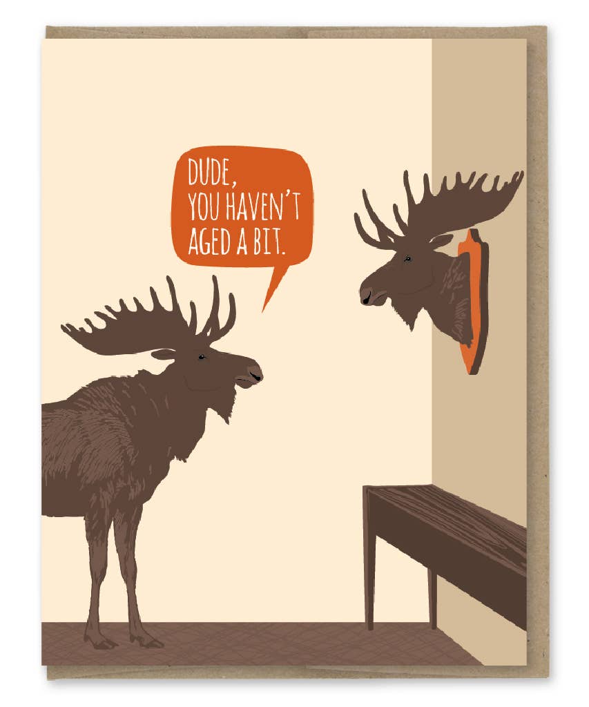 You Haven't Aged Birthday Card - Box Turtle