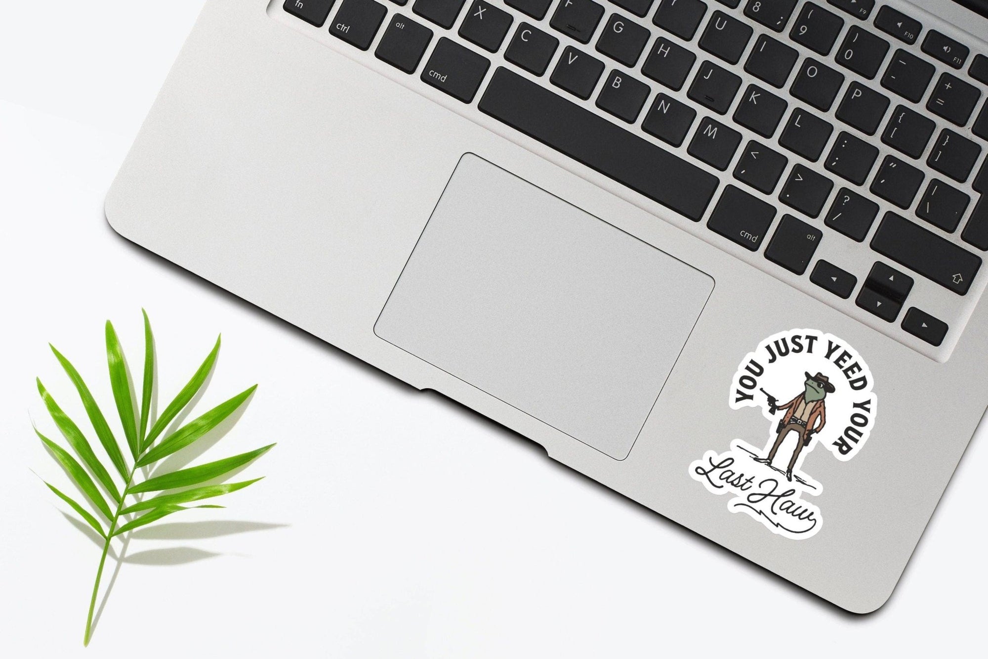 You Just Yeed Your Last Haw Sticker - Box Turtle