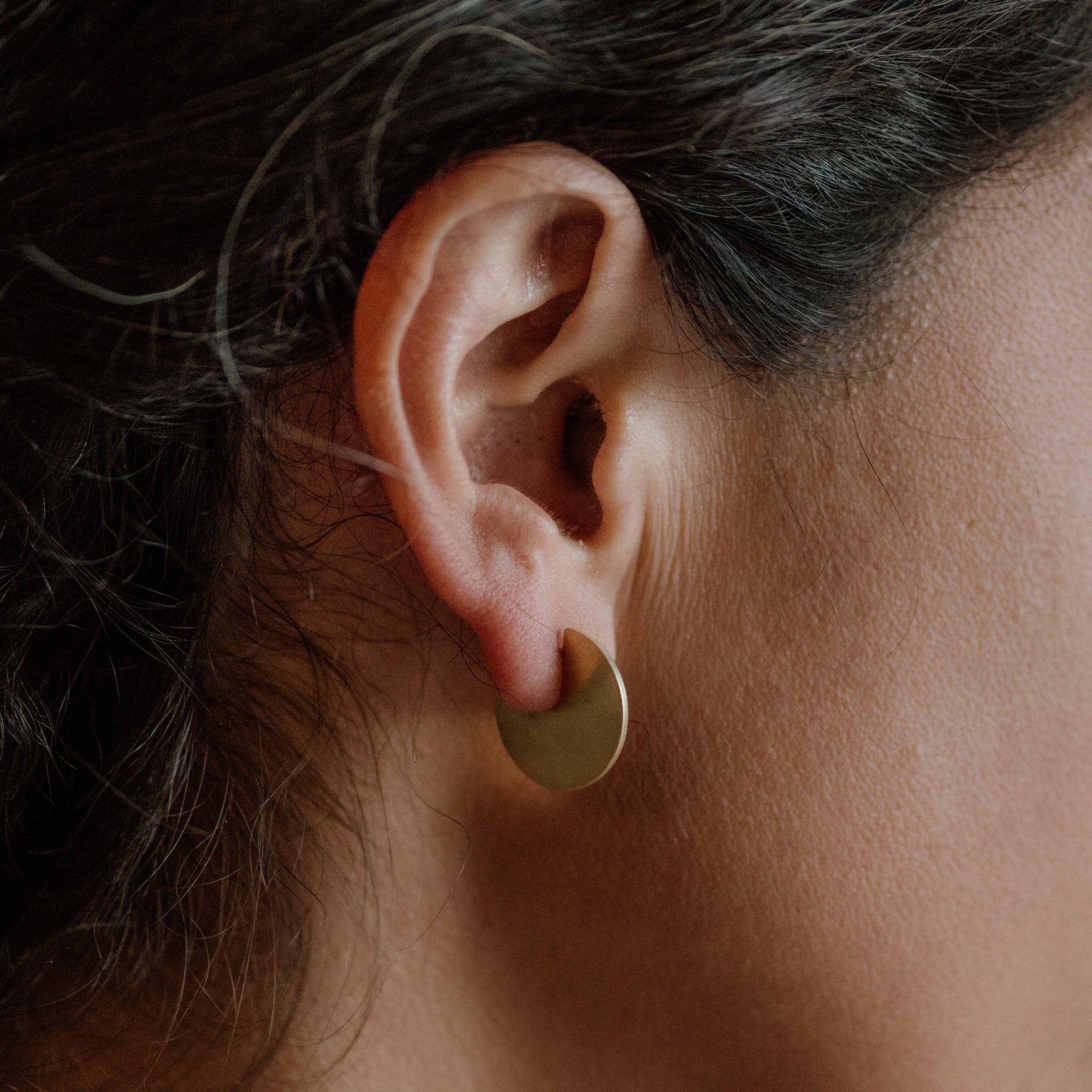 Yuzu Studs - Box Turtle