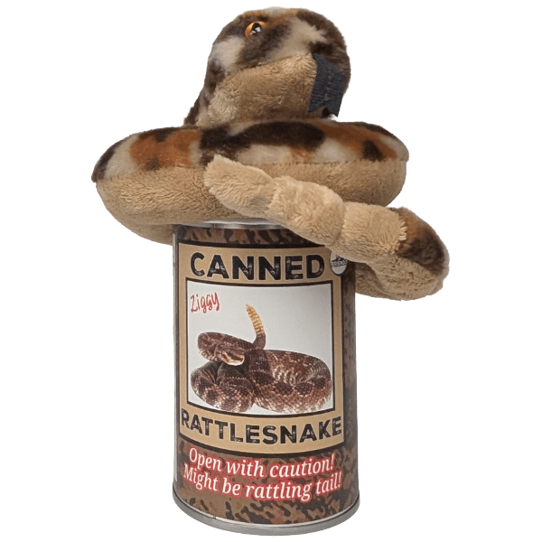 Ziggy the Canned Rattlesnake Stuffed Plush - Box Turtle