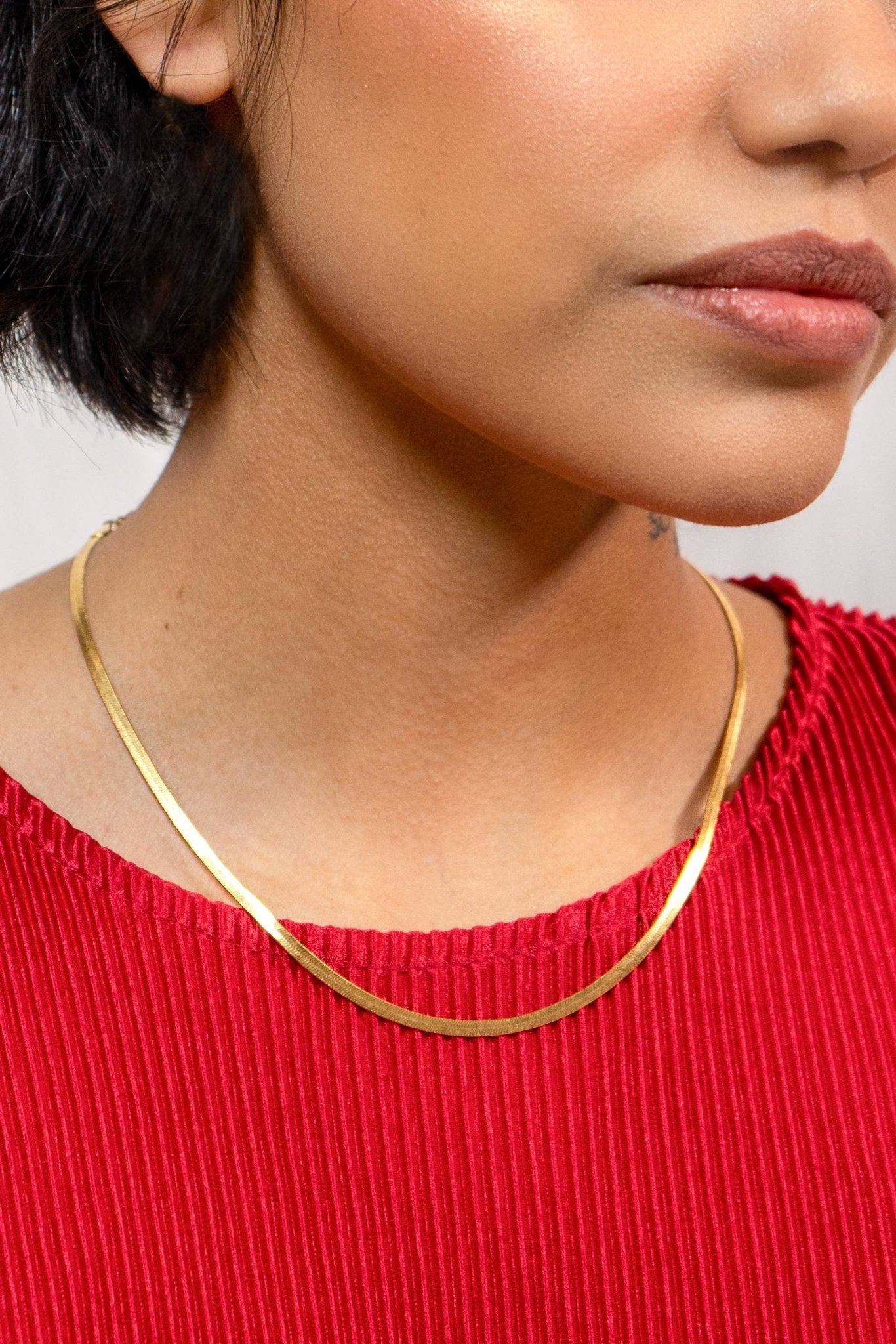 Zoe Gold Snake Chain Necklace - Box Turtle