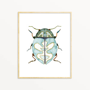 Beetle #17
