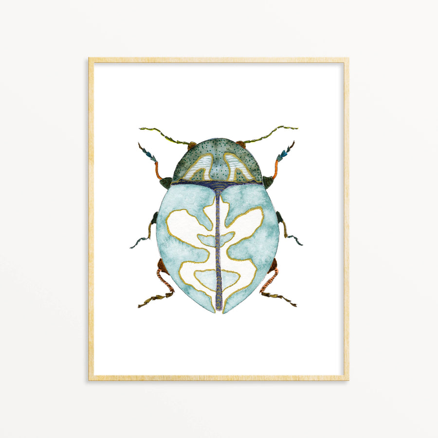 Beetle #17