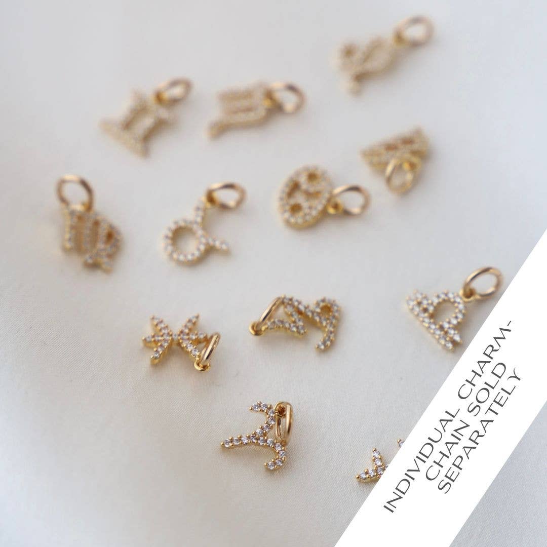 Zodiac Symbol Charm