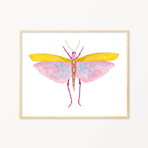 Grasshopper #2
