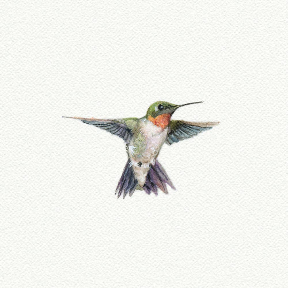 Hummingbird Miniature Watercolor Print