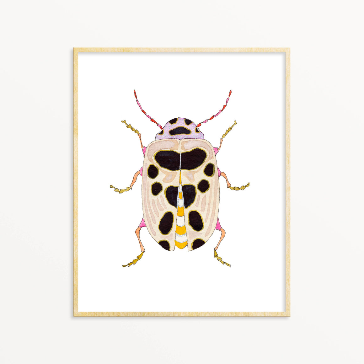 Beetle #28