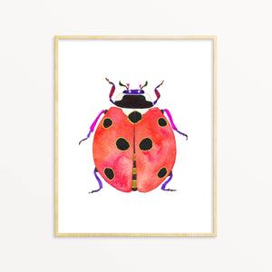 Ladybug