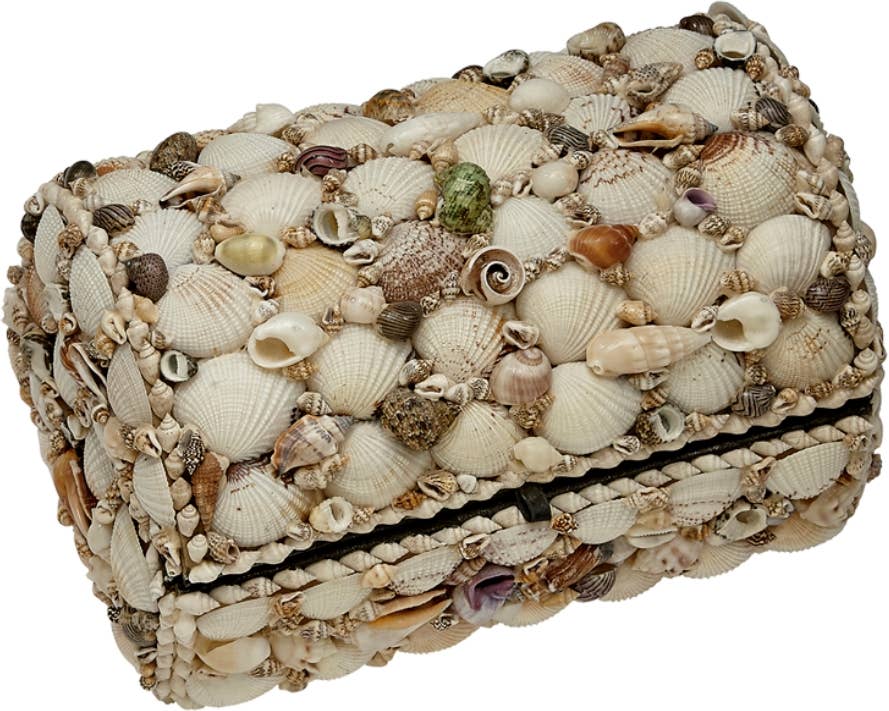 Large Natural Shell Treasure Box
