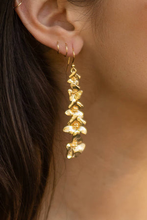 Conservatory Earrings - 18K Gold Plated