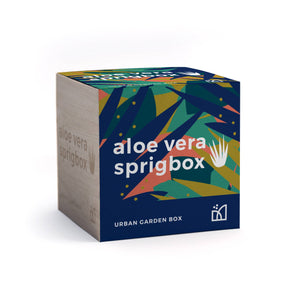 aloe vera grow kit