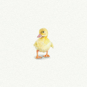 Duckling Miniature Watercolor Print