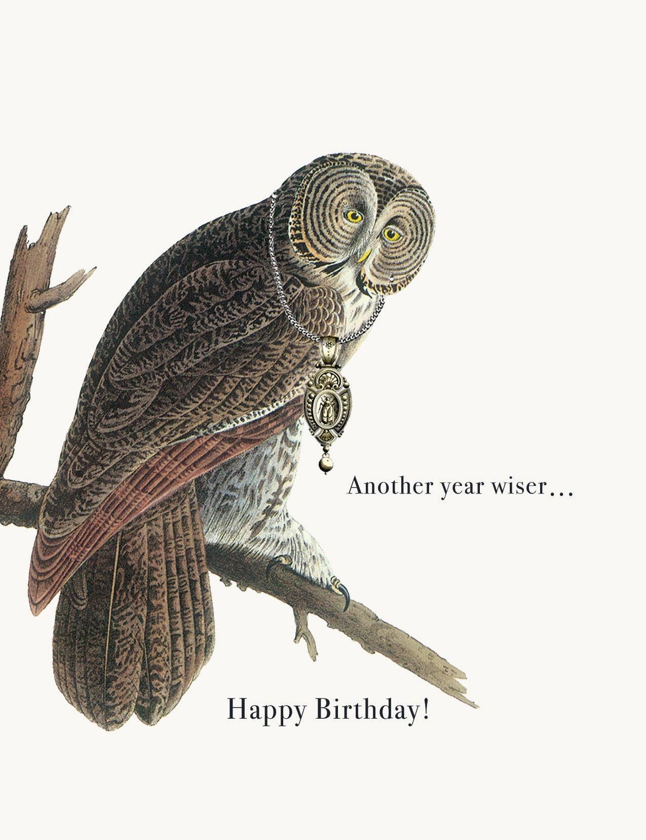 Another Year Wiser Owl Birthday Card - Box Turtle