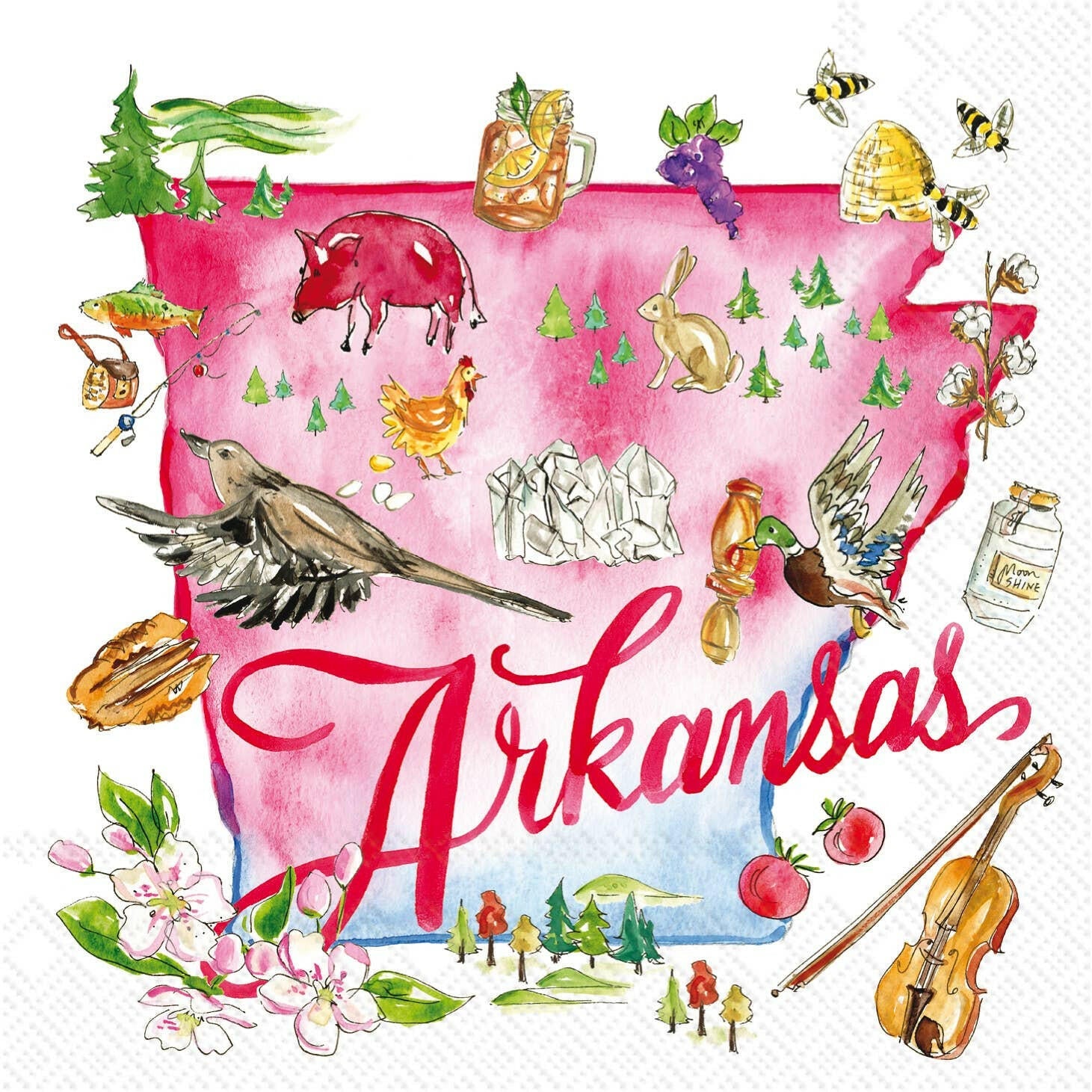 Arkansas Watercolor Cocktail Napkins - Box Turtle