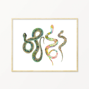Snakes #2