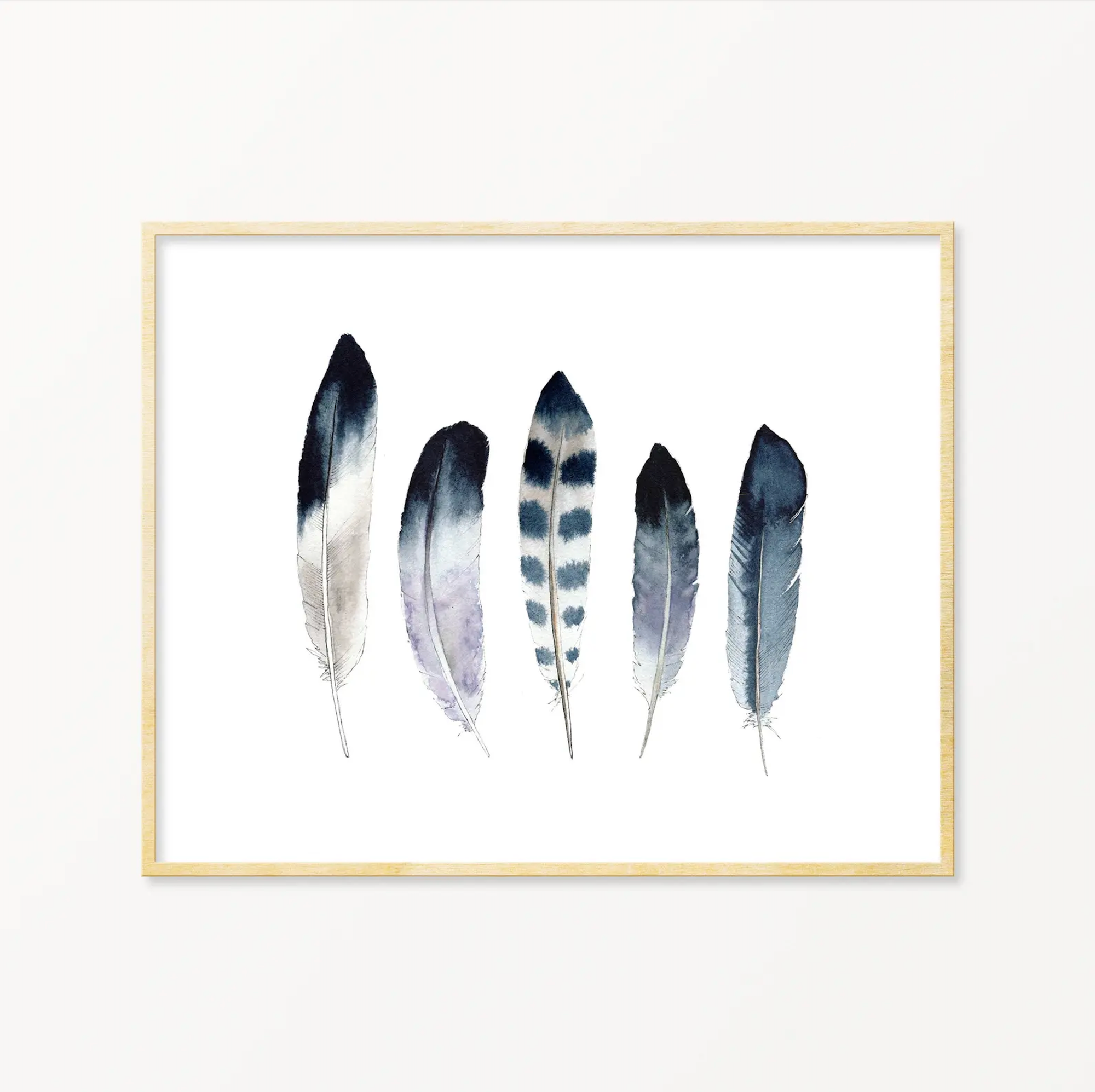 5 Feathers #15