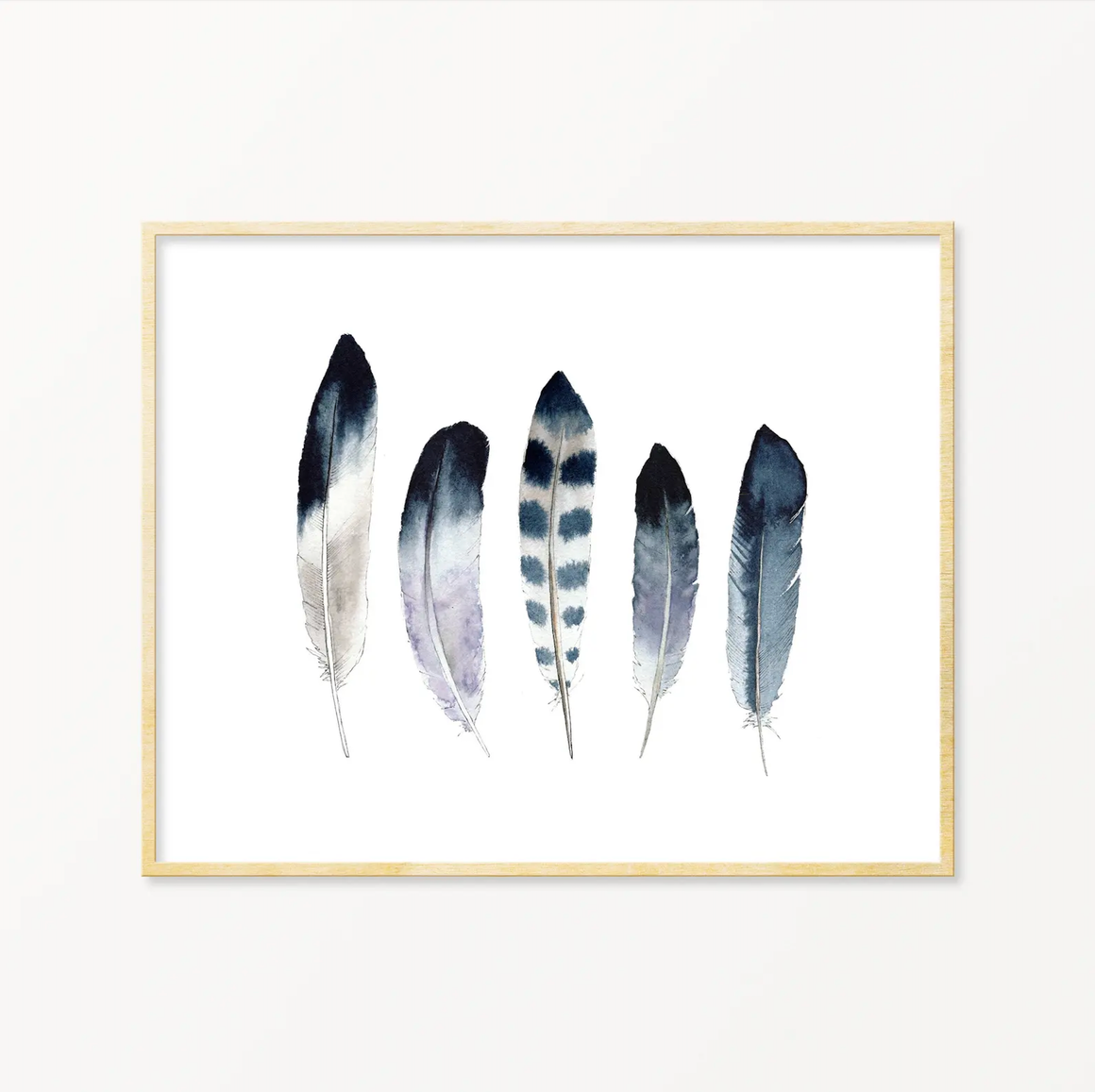 5 Feathers #15