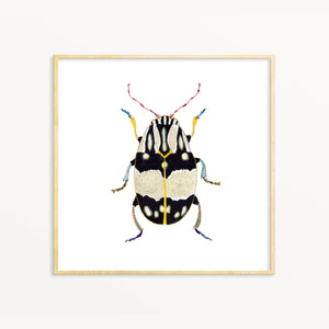 Beetle #12
