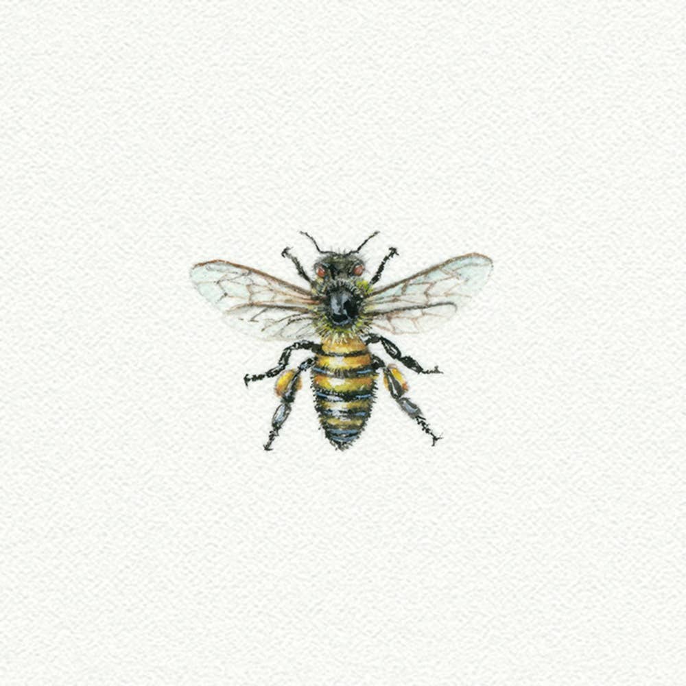 Bee Miniature Watercolor Print - Box Turtle