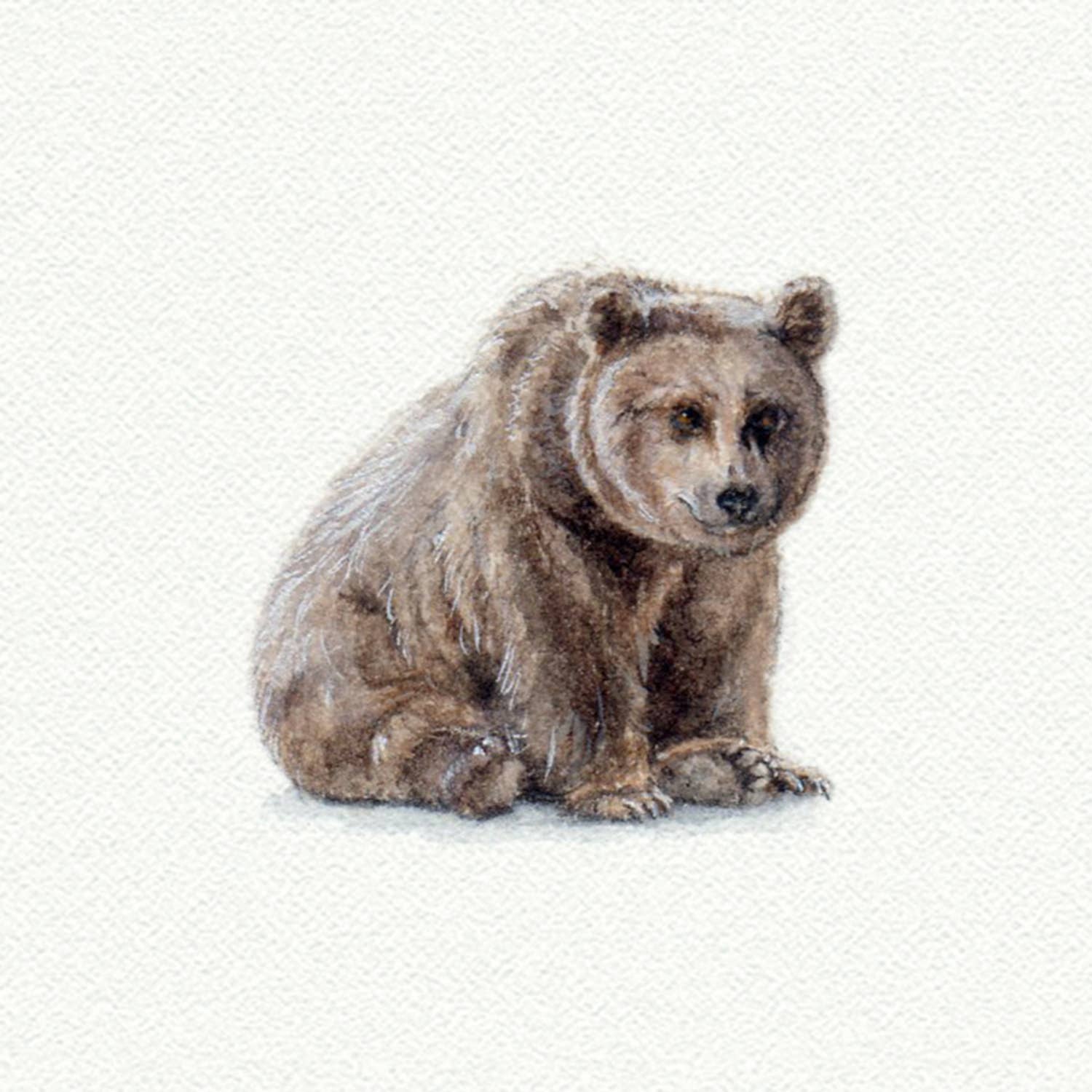 Brown Bear Miniature Watercolor Print - Box Turtle