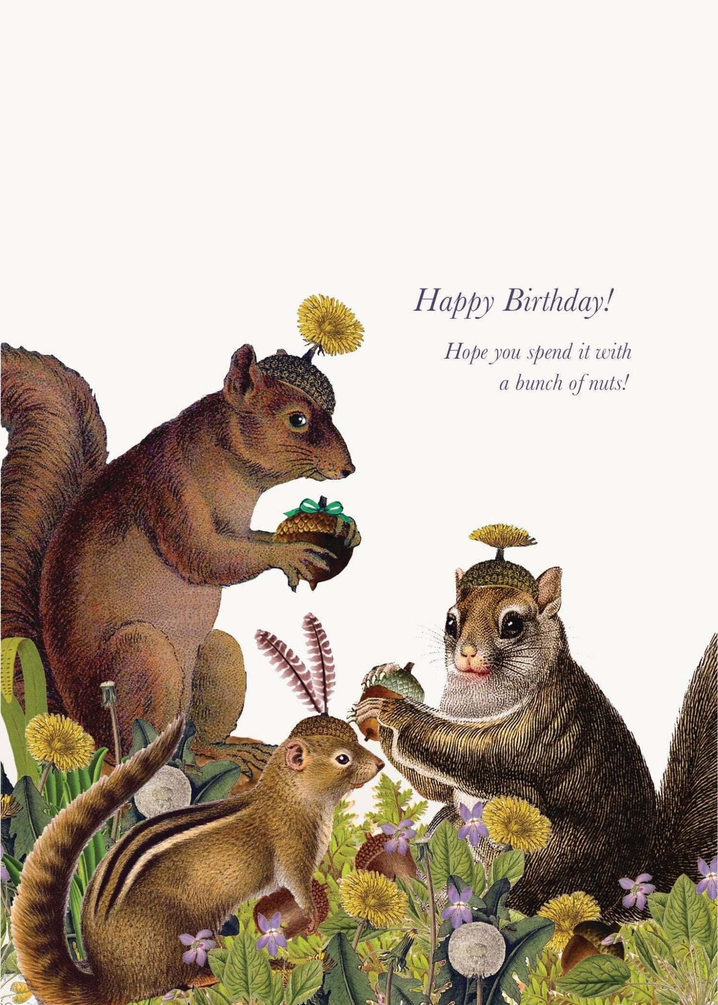Bunch of Nuts Birthday Card - Box Turtle