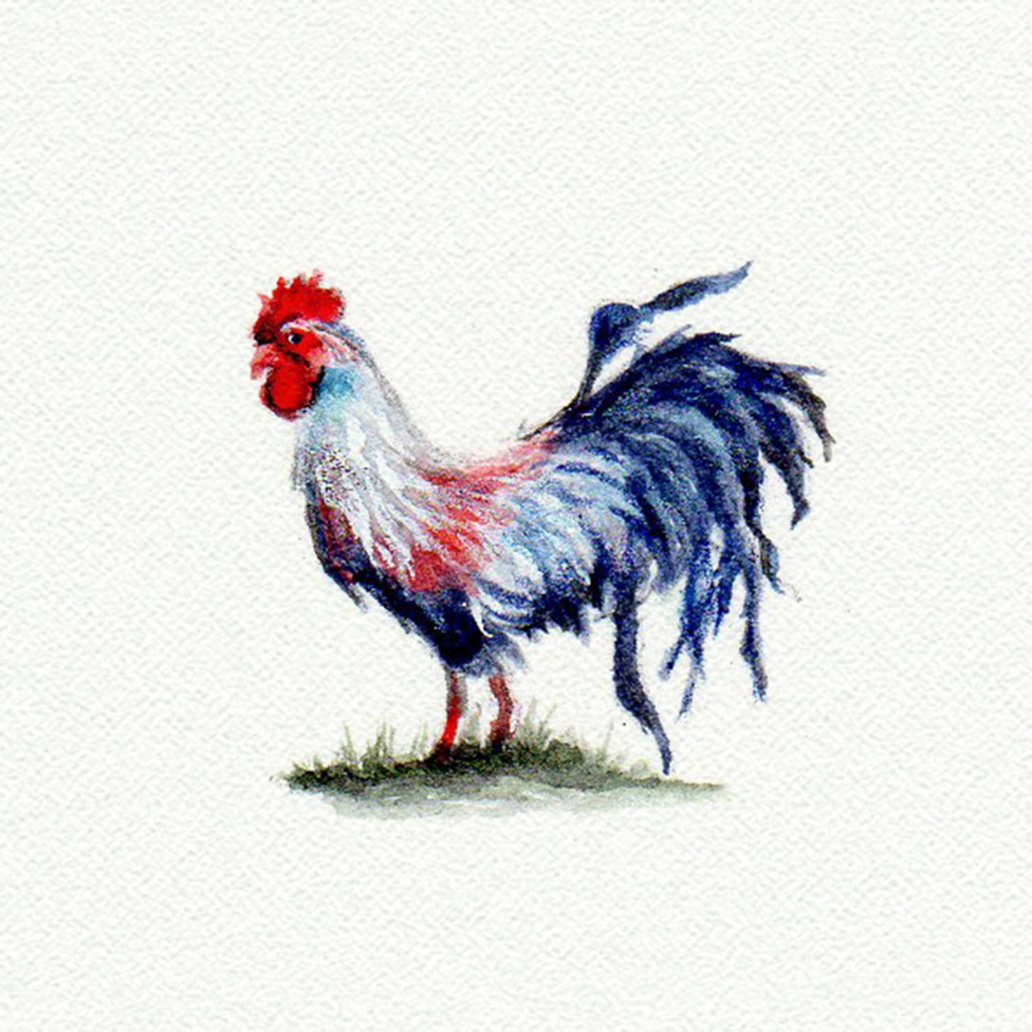 Chicken Miniature Watercolor Print - Box Turtle
