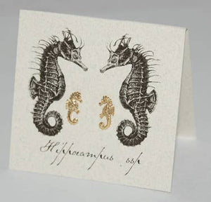 Seahorse Earrings - gold Natural History