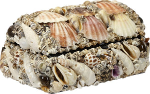 Rounded Natural Seashell Treasure Box