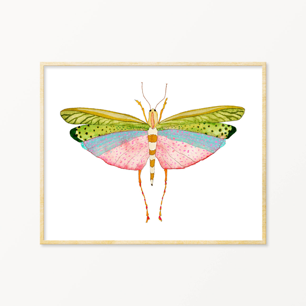 Grasshopper #1